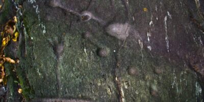 massi-erratici-cremia-03