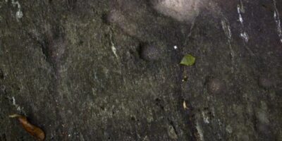 massi-erratici-cremia-06