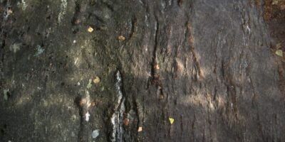 massi-erratici-cremia-23